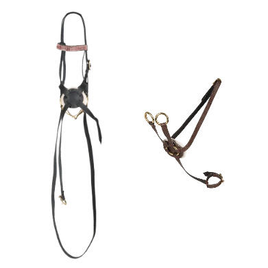 Cheval Roi mexicansk trense & martingal sæt i brun
