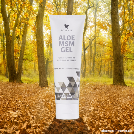 Aloe MSM Gel massagegelé til bindevæv og led