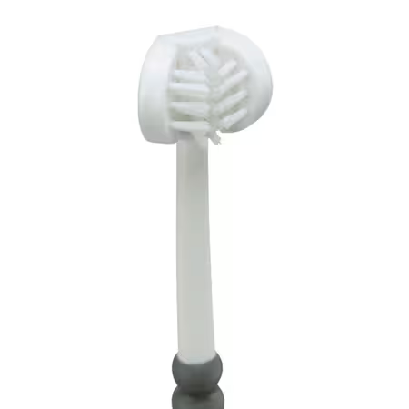 Close Up af Børstehoved på Trixie 3-Hovedet Hundetandbørste