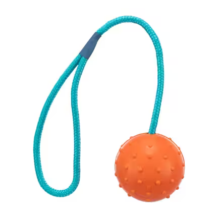 ✅ Trixie Gummibold til hunde – Ø 6 cm holdbar Trixie bold af naturgummi med 30 cm snor og håndtag til kaste- og trækkelege.