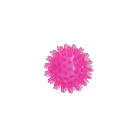 Dog Comets Exoplanet Spiky Bold med piv - S, pink