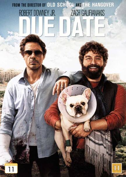 Due Date, DVD, Movie, Comedy