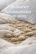 2 millioner støvmider; husstøvmider, sengemider i en seng