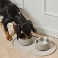 Dog Copenhagen Libra Slowfeeder