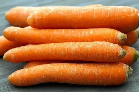 Frø til Gulerødder Autumn King