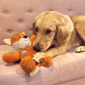 Hund med Kong wild knots bear
