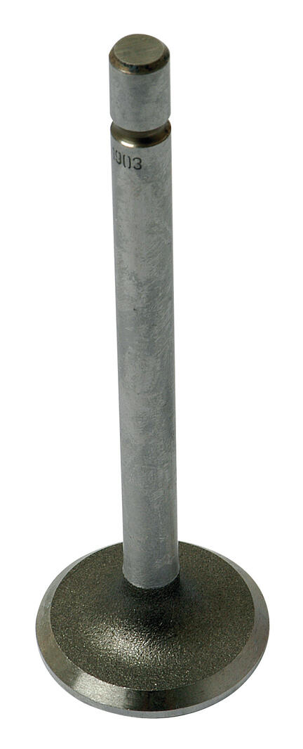 Ventil - Indsugning 45° - Standard 87mm Benzin - MF35 - MF135 - Ferguson FE35