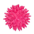 Dog Comets Cosmic Egg - S