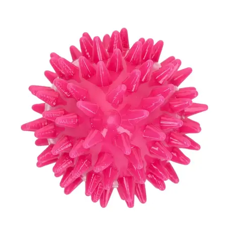 Dog Comets Cosmic Egg - S
