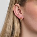Marena earrings in gold plated silver - studio.z