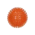 Dog Comets Exoplanet Spiky Bold med Piv - M, orange