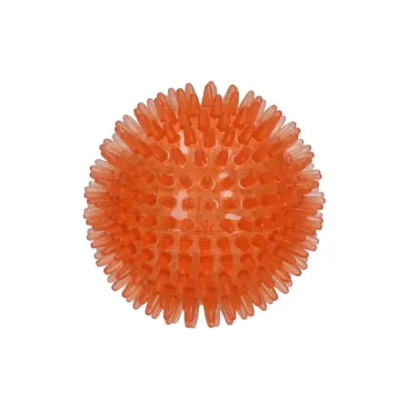 Dog Comets Exoplanet Spiky Bold med Piv - M, orange