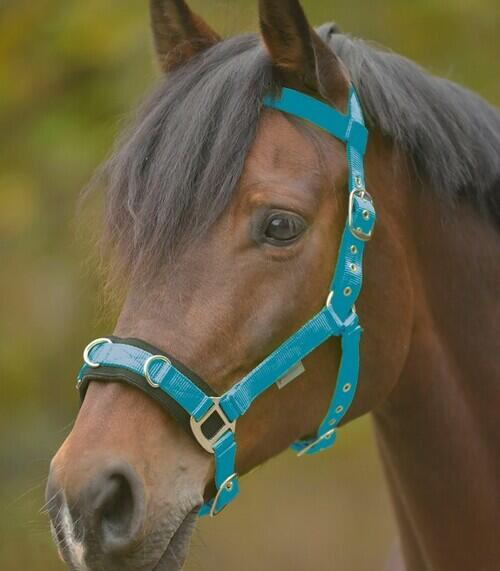 Billede af Waldhausen kapsun - nylon - Azur blå, Pony