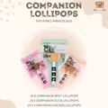 Companion Lollipop Smagspakke | 3 slags Companion Slikkepinde