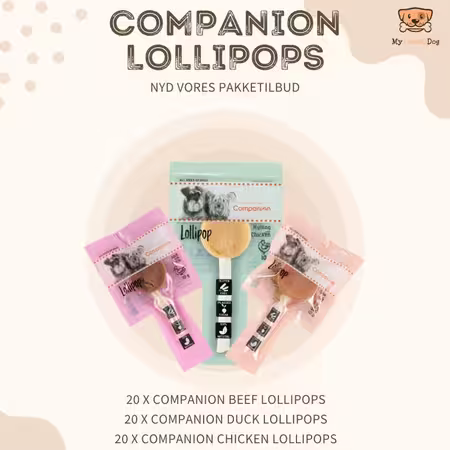 Companion Lollipop Smagspakke | 3 slags Companion Slikkepinde