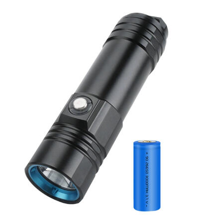 Diving light