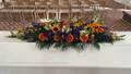 Kistepynt farverig gule solsikker røde Gerbera