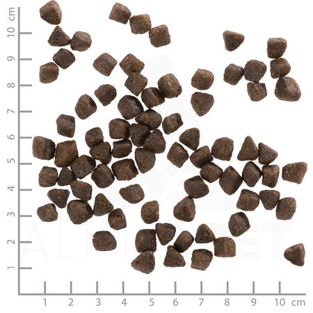 Wolfsblut Cold River Trout Puppy - 12.5kg