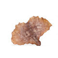 Snack'it Blæksprutteplader - 250g