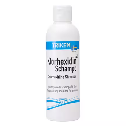 Trikem Klorhexidin Shampoo 4 % til hunde – antiseptisk shampoo til uren hud, sår og hotspots