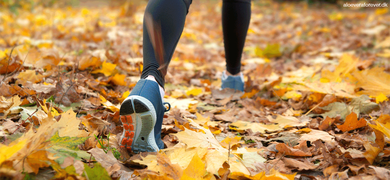 DX4, C9 og F15 motionsudfordring