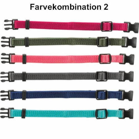 Trixie hvalpe ID halsbånd | Til ID mærkning af hvalpe | Køb hos MyTrendyDog.dk