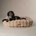 Scruffs Alpine seng - Champagne