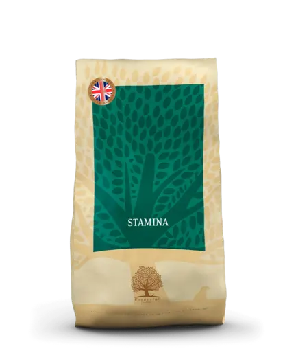 Essential Stamina med kylling & and plus højt fedtindhold 10 kg tørfoder til hund som bruger meget energi
