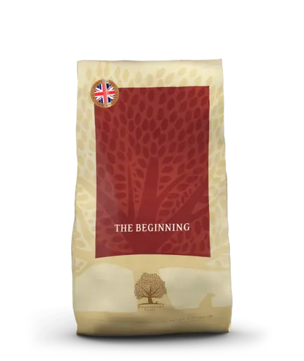 ESSENTIAL the BEGINNING 10 KG hvalpe tørfoder til hune under 15 kg