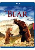 The Bear, Blu-Ray, Movie, Adventure