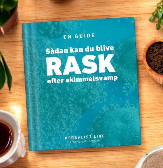 Sådan kan du blive RASK efter skimmelsvamp.