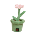 B&B Pawtanic Garden Snuseblomst – Snusetæppe 30 cm