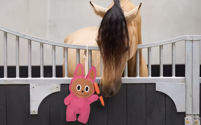 bokslegetøj til heste