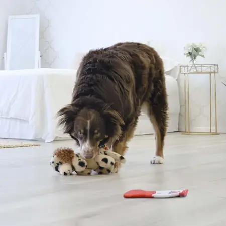 Kong Comfort Pups Spot - M