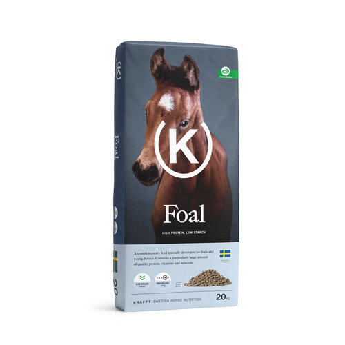 KRAFFT Foal