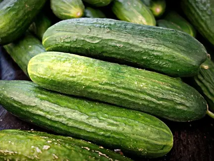 Skoleagurk frø Beth Alpha