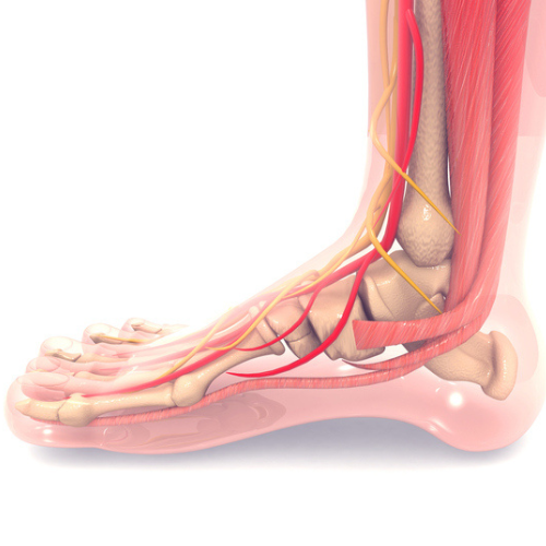Årsager til supination