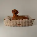 Scruffs Alpine seng - Champagne