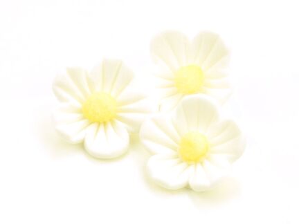 Sugar flowers white