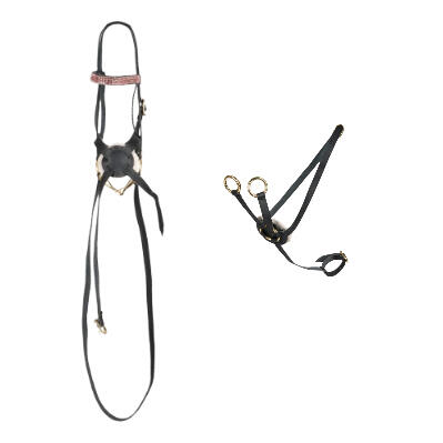 Cheval Roi sæt med mexicansk trense & martingal i sort med guld detaljer og lyserøde simili sten i pandebåndet.
