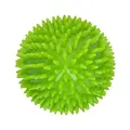 Dog Comets Cosmic Egg -L