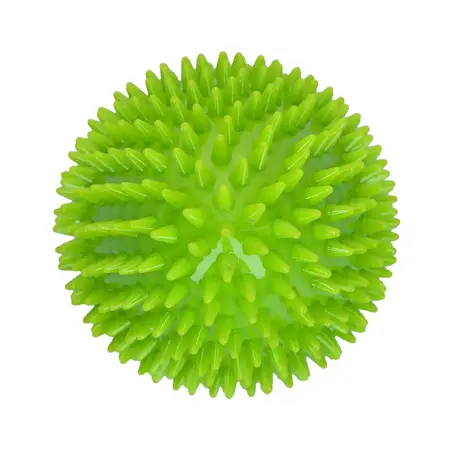 Dog Comets Cosmic Egg -L
