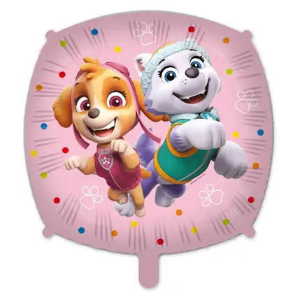 Paw patrol ballon skye og everest