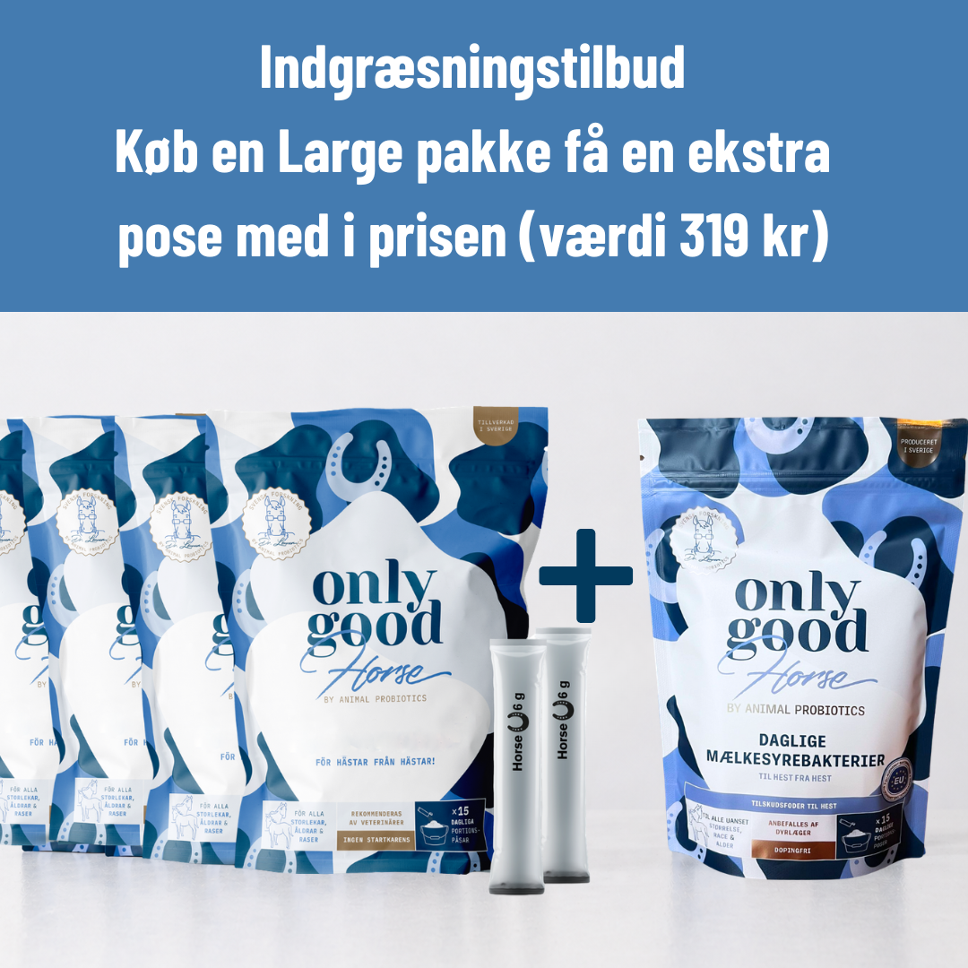 OnlyGoodHorse - Indgræsnings tilbud - Large pakke 60 portioner + 15 gratis portioner