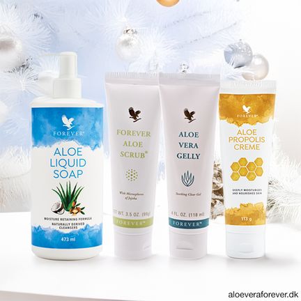 Forever Basic Kit med Aloe vera produkterne Julegaveide fra Forever Living: Aloe Liquid Soap, Forever Aloe Scrub, Aloe Vera Gelly og Aloe Propolis Creme