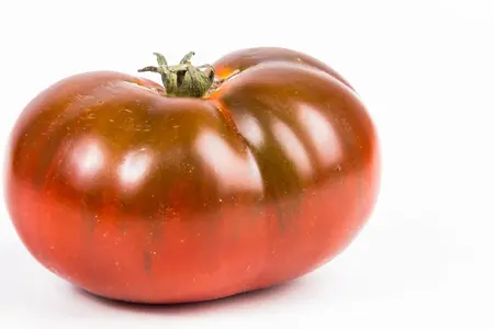 Frø til bøftomat, Noire de Crimée