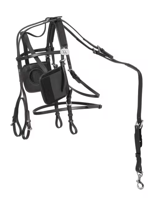 Wahlsten lukket hovedlag- Biothane