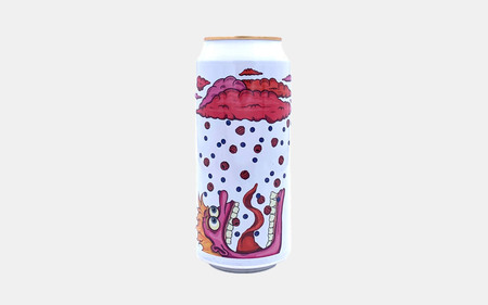 Wild Berry Shower - Fruited Sour fra Fermenterarna - Beer Me