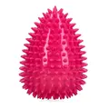 Dog Comets Cosmic Egg -L