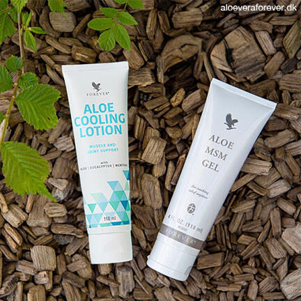 Aloe Cooling Lotion + Aloe MSM Gel massagecremer som sæt